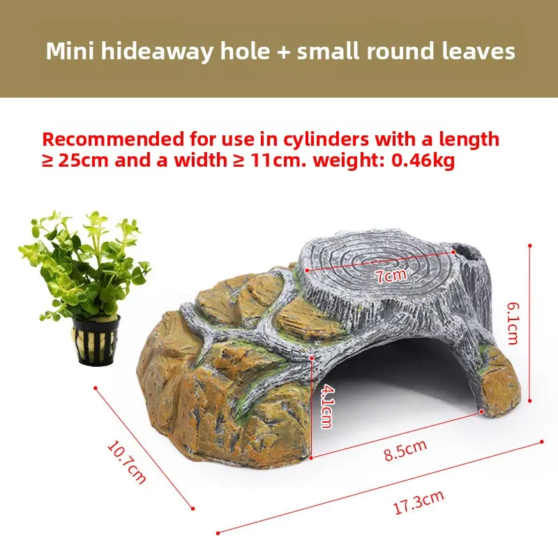 [Sun Platform] Mini size + small round-leaf aquati