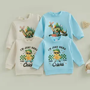 Toddler Baby Little Boys Easter Sweatshirts Long Sleeve Letter Chicken/Eggs Dinosaur Print Pullover Tops 6M-5T