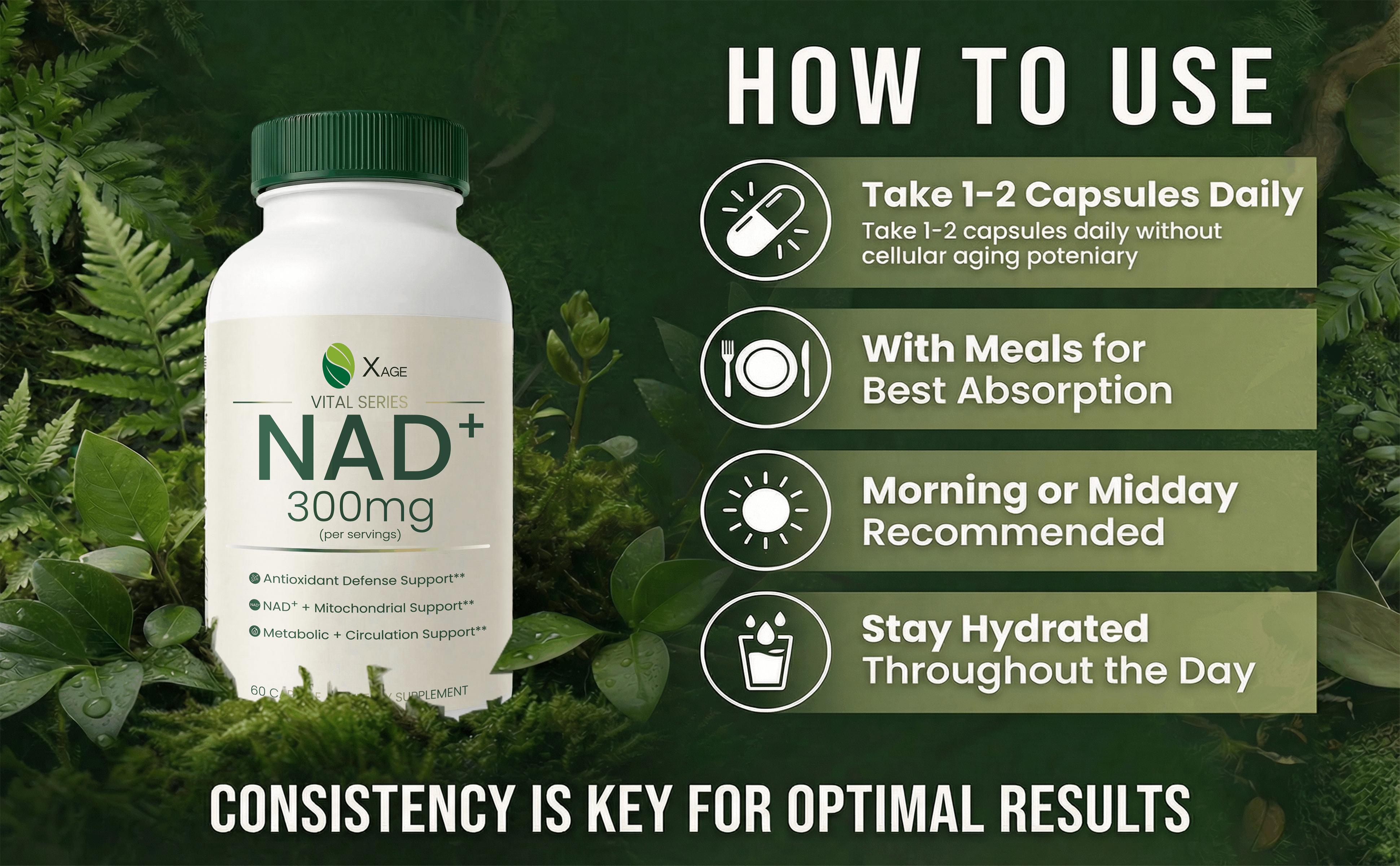 XAGE Vital Series Daily NAD+ Vitality Formula - Cellular Energy & Antioxidant Support, 60 Caps XAGE Vital Series Daily NAD+ Vitality Formula - Cellular Energy & Antioxidant Support, 60 Caps