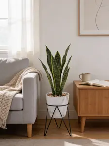 Faux Snake Plant in Marble Pot with Metal Stand–Modern Décor