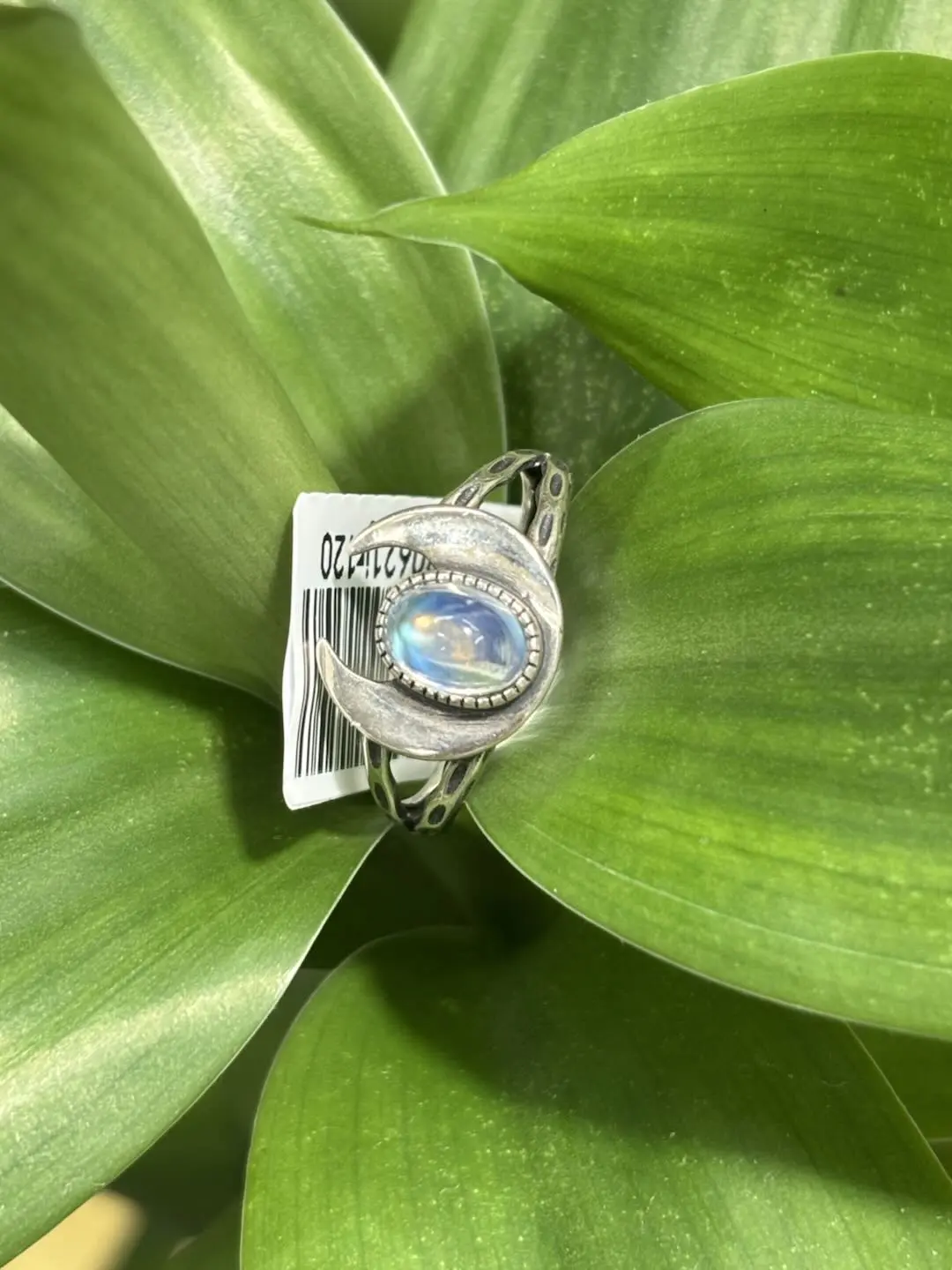 Lena(17671)gc.s925，moon stone