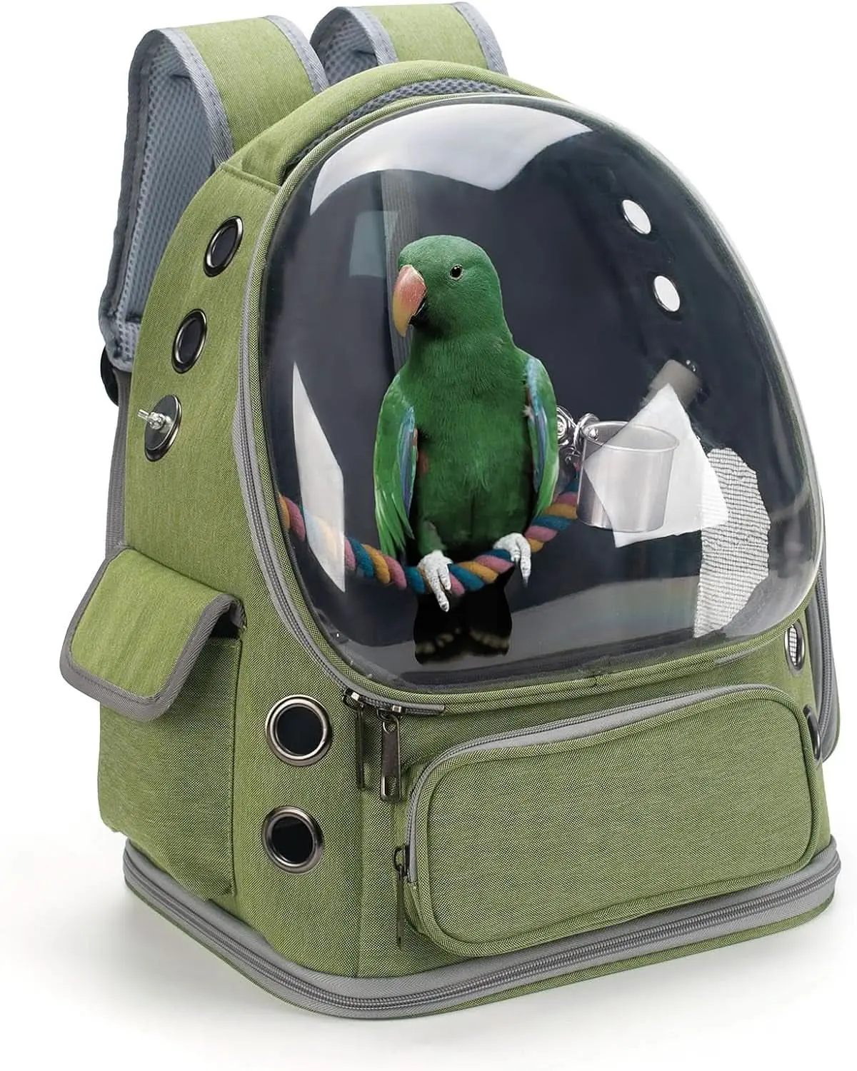 Bird Backpack Carrier Travel Cage with Perch, Tray, and Ventilated Clear Window for Cockatiels, Caiques, Conures, and Quakers - Ideal for Veterinary Visits, Camping, and Hiking (Green)