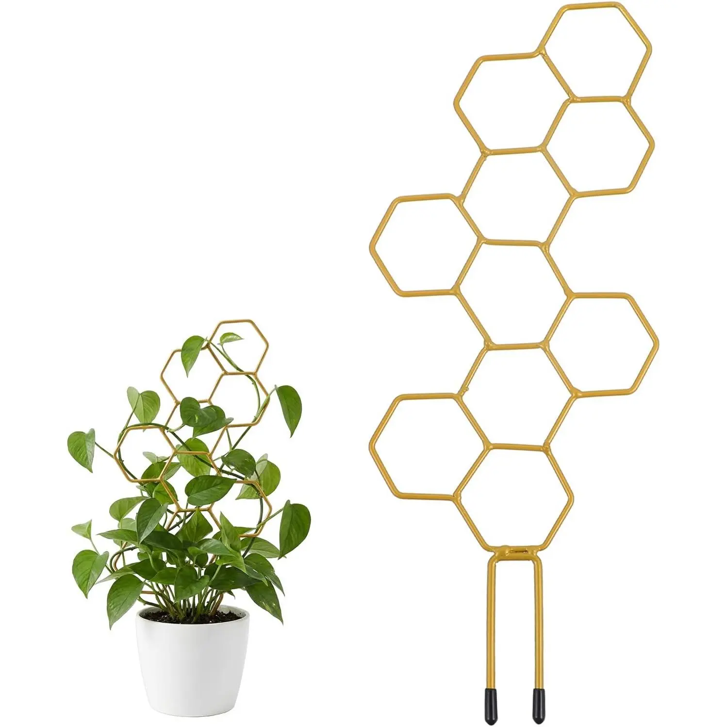 Small Trellis for Potted , 14 Inch Indoor Trellis for Climbing   Shape Metal  Trellis for Pots  Climbing Support for Flower Hoya Pothos Houseplants
