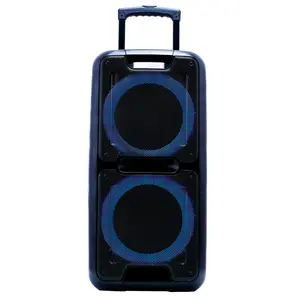 DIGITAL SUNFLASH SF-2100 Dual 10-Inch Speaker Karaoke Wireless Bluetooth With FM Radio, MicroSD Input, USB Port, AUX Input, LED Lights, Mic Input, Wireless Mic Included Audio Devices Mp3