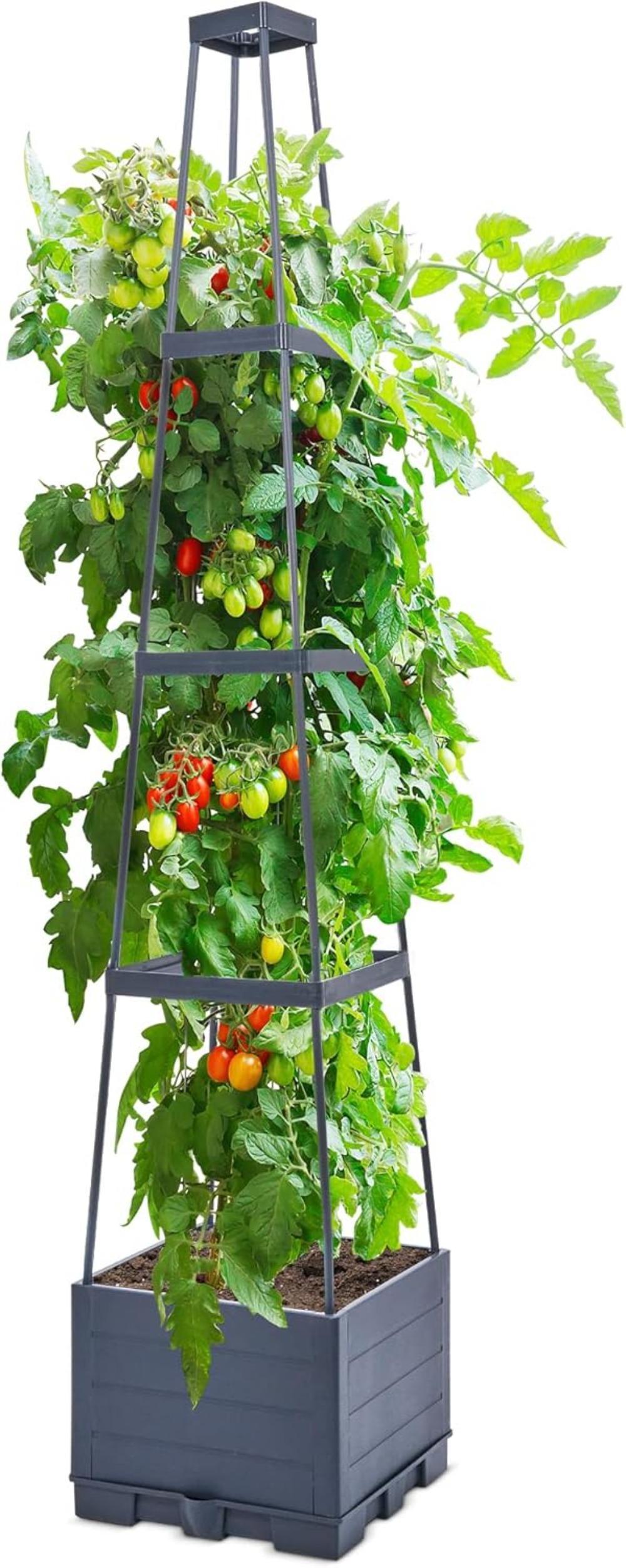 4 Tiered Tomato Planter with Trellis – 45” Raised Garden Bed Planter Box, Tomato Cage & Planter for Small Climbing Vegetables, Ideal for Patio, Indoor & Outdoor Gardening