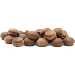 Walnut  Plugs for Furniture, 3/8 inch Button Top  Plugs for Screw Holes - Pack of 25 by