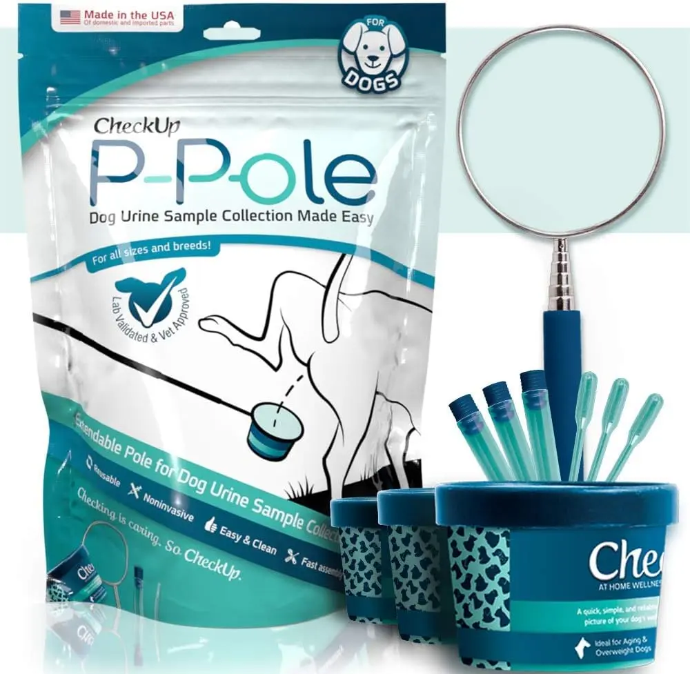Sample & Test | P-Pole & Diabetes Test Strips Bundle
