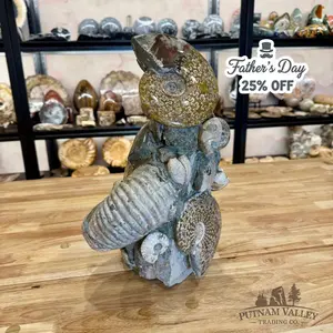 Reserve Large Moroccan Ammonite Cluster Sculpture 15"