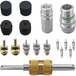17PCS Air Conditioning Valve Core Kit, R12 R134A Teflon Seal Cap Valve Kit with Removal Tool For Car, HVAC AC Refrigerant Tool For High Low-Pressure A/C Service Port