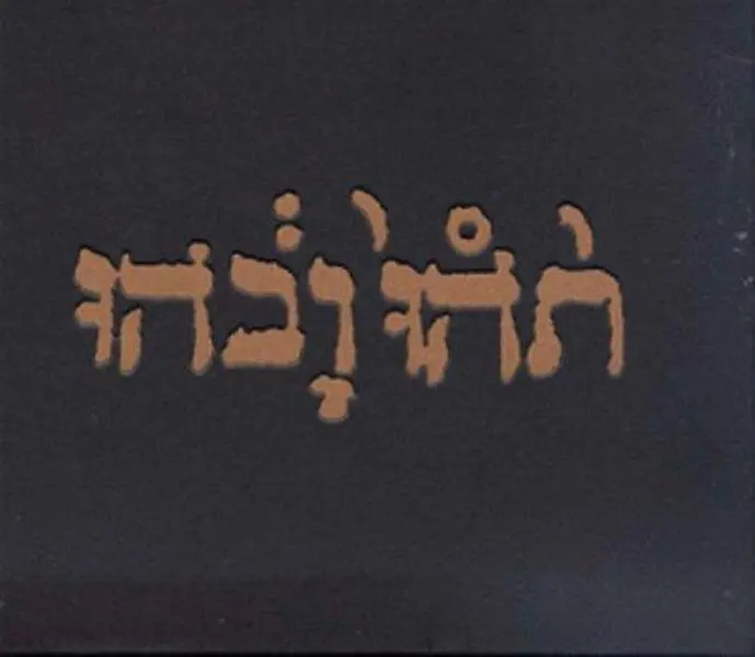Godspeed You Black Emperor! - Slow Riot For New Zero Kanada E.P. NEW Vinyl Record 666561000615