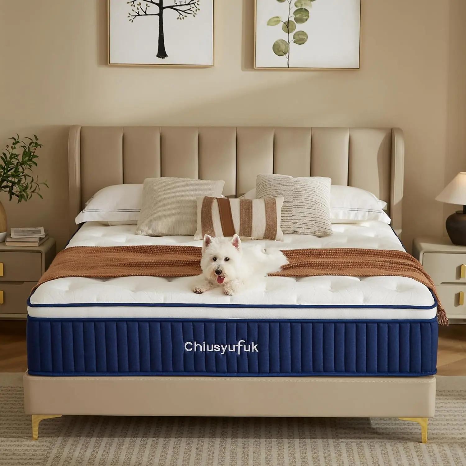 10 Inch Queen Foldable Hybrid Mattress in a Box - Twin & Queen Sizes, Memory Foam & Pocket Springs, Medium Firm Ergonomic Support, Lumbar & Neck Care, Cooling Gel, Motion Isolation, Breathable Fabric, Ideal for Back Pain Relief, Hot Sleepers