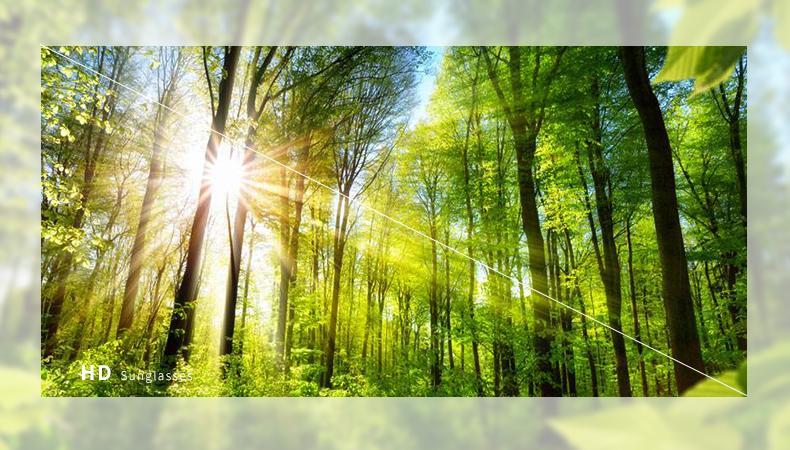 Large Frame Ski Goggles for Men Women Colored Lens Anti-Fog Anti-Glare Snowboard Goggles Wide Vision Sponge Padding Comfortable Fit Snow Goggles for Skiing Snowboarding Winter Outdoor Sports Mountain Riding