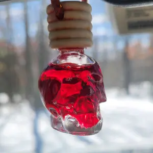 Skull Car diffuser