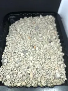 Organic Small Pumice Chunks For Your Soil Planting And Reptile Terrariums