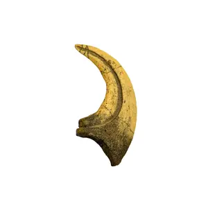 Deinonychus Claw Replica