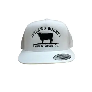 Outlaws bounty land and cattle hat