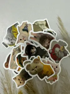 Funny Cute Sticker – 5 Random