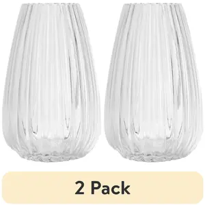 (2 pack) Ribbed Glass 8 inches Tabletop Translucent Clear Glass Vase