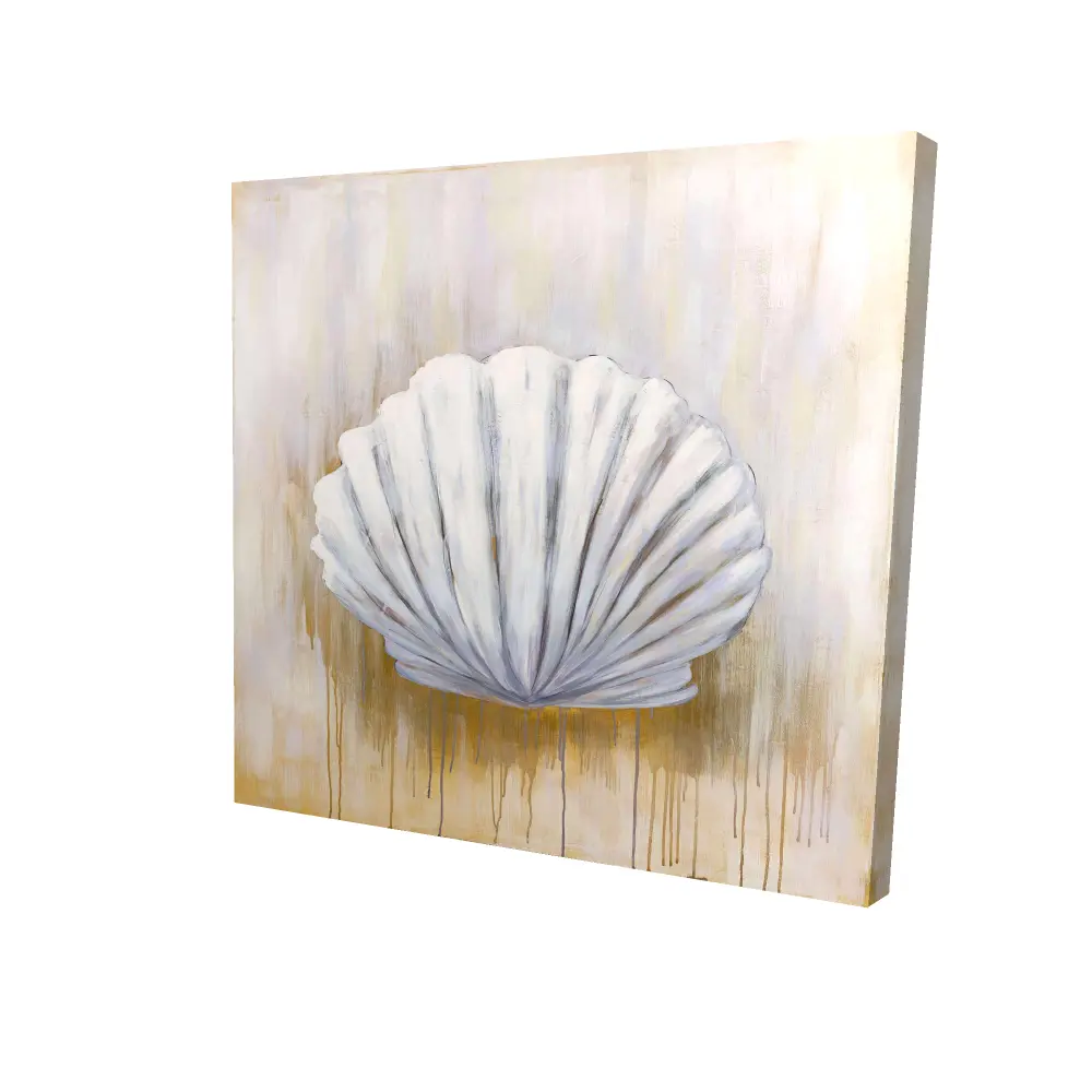 Begin Home Decor 2080-2424-CO24 24 x 24 in. Festoon Shell Canvas - Aquatic Animals Home Decor Art