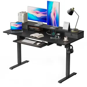 Agilestic Electric Standing Desk with 2 Drawers & Keyboard Tray, Adjustable Home Office Desk Ergonomic Sit to Stand Computer Desk with Hooks for Gaming & Work,Black/ Rustic Brown/White/oak