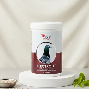 Cest Electrolit – Electrolytes with Glucose for Messenger Pigeons