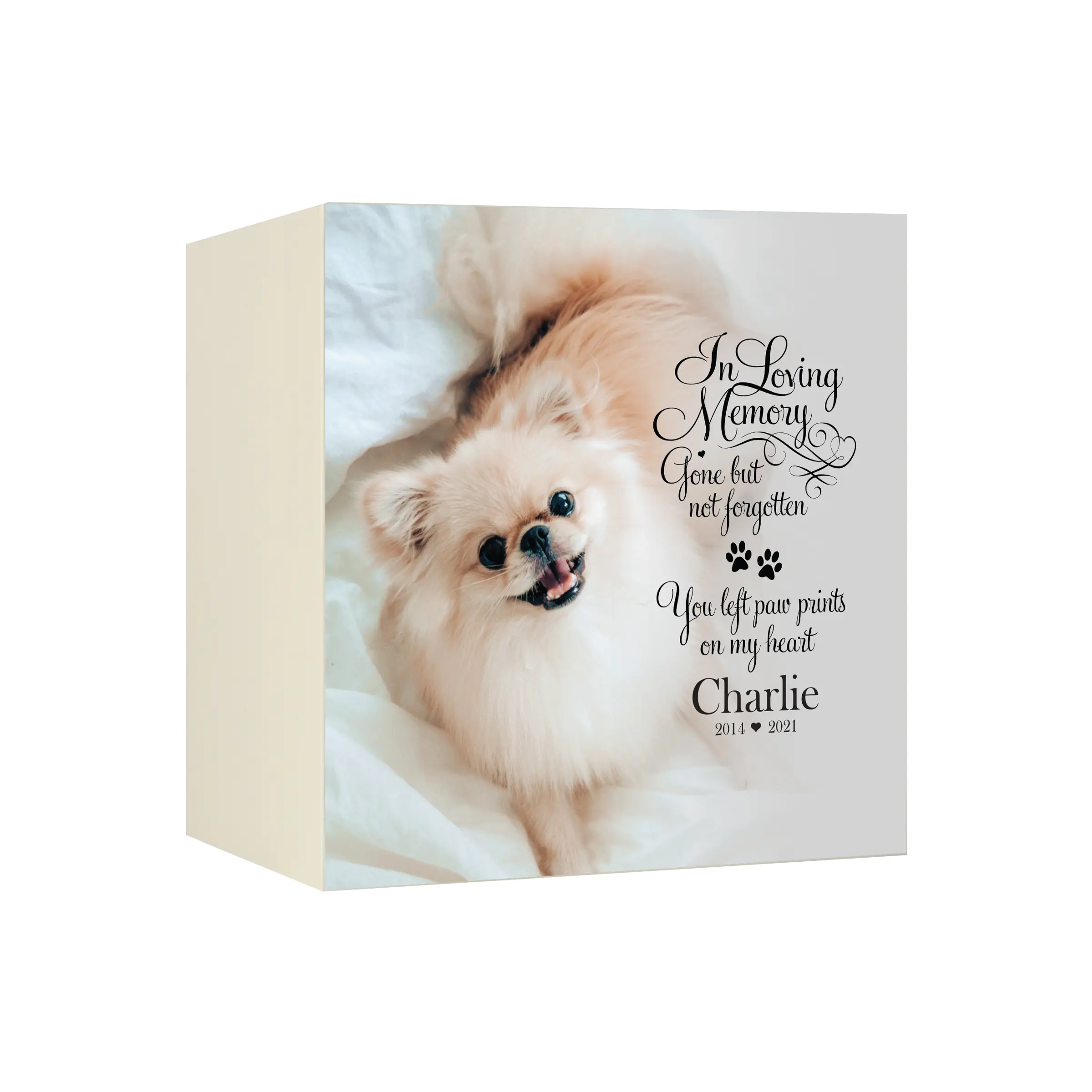 Pet Cremation Urn Personalized Shadow Box for Dog or Cat Memorial Sympathy Gift for Pet Loss Pet Memorial Gift | Gone But Not Forgotten