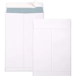 6x9 250 Pack Self Seal Security Catalog Envelopes Small White Envelopes for Mailing Organizing Storage Home Office