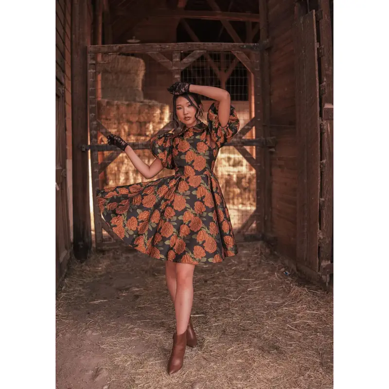 Dawn Dress - TikTok Shop
