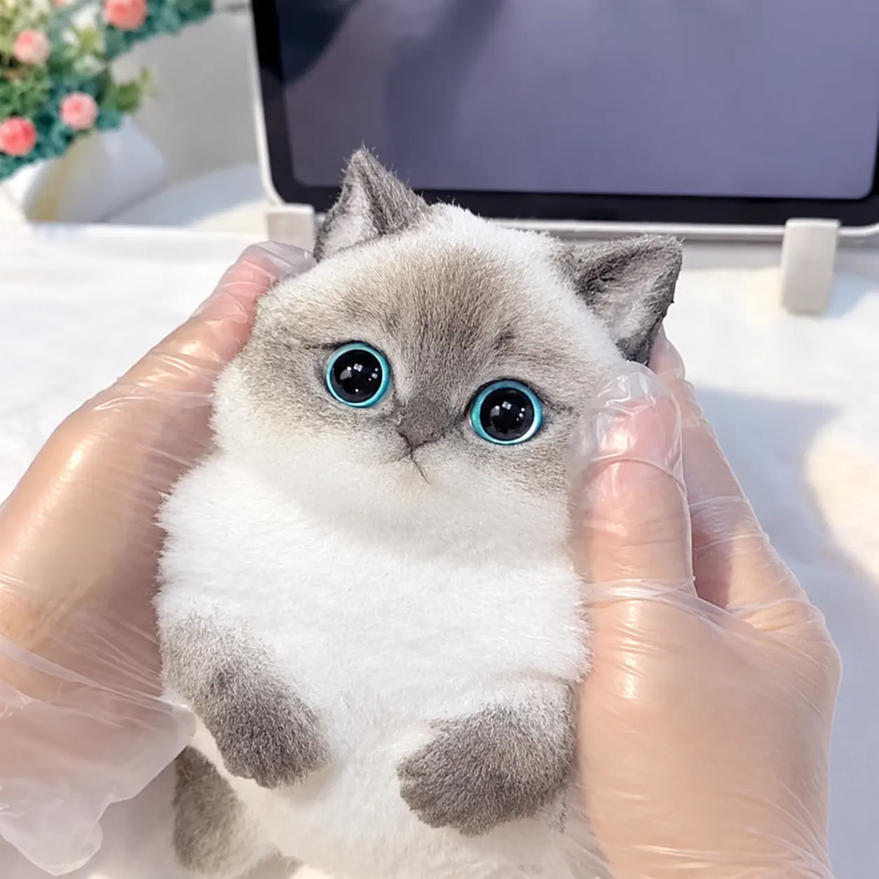 Taba Cat Squishy | Realistic Fat Cat Fidget Trading Toy