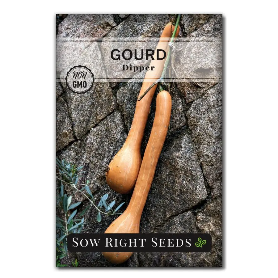 Dipper Gourd