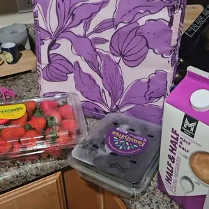 Periea Set of 3 Insulated Shopper Totes with Velcro Closure