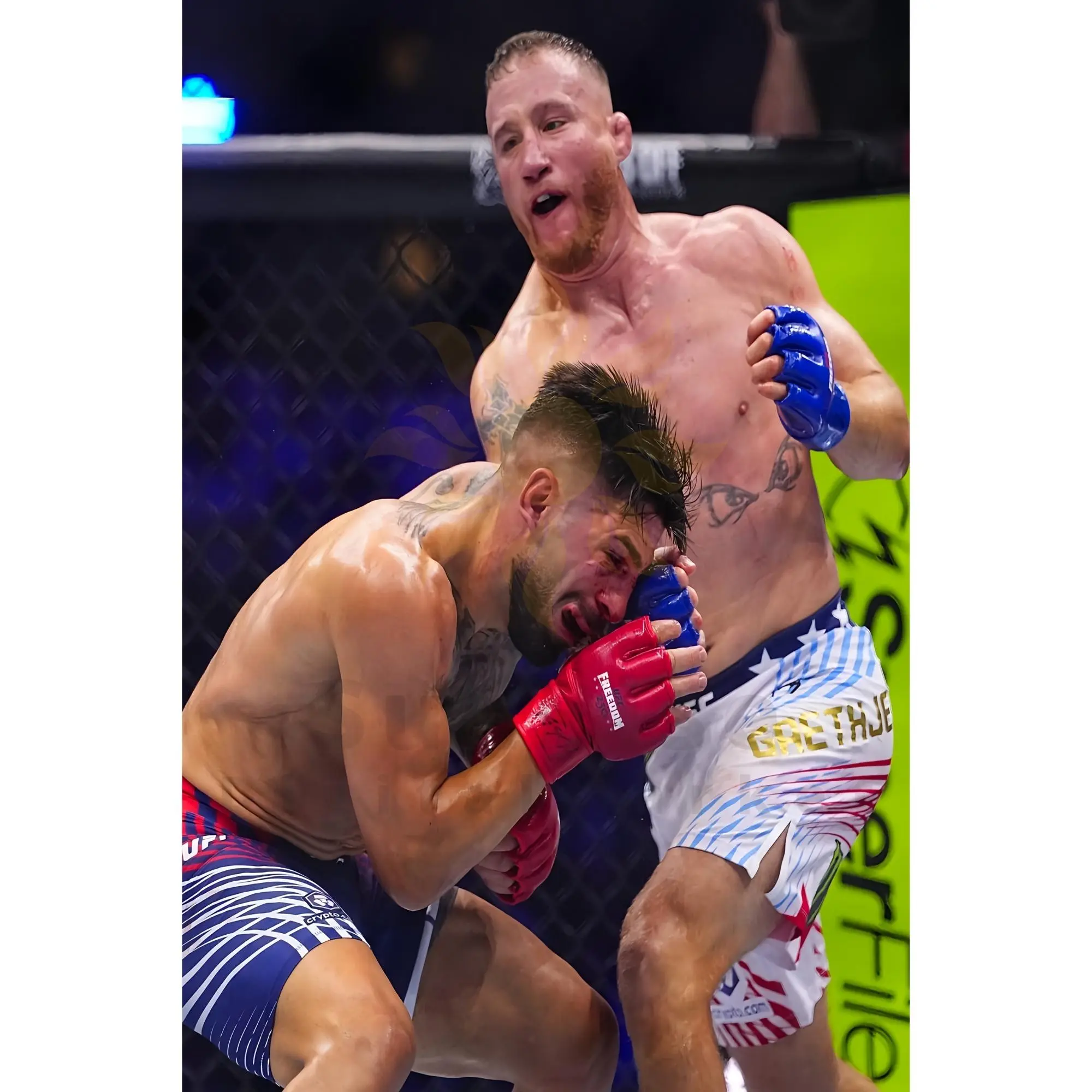 UFC Freedom 250 Poster | Topuria vs Gaethje