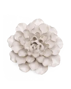 Ivory European Water Lily
