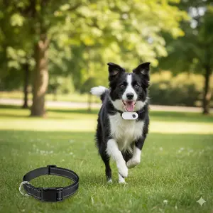 1080P HD Pet Collar Camera, Mini Wireless Action Cam with Waterproof Stabilization, Indoor/Outdoor Pet Monitor for Dogs & Cats, Portable Wearable Pet Cam for Remote Viewing, Behavior Tracking and First-Person Pet Activity Recording.