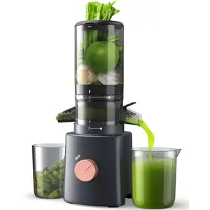 Juicer Machines, Cold Press Juicer With 4.25'' Large Feed Chute Fit Whole Vegetable And Fruit, Masticating Juicer Easy To Clean