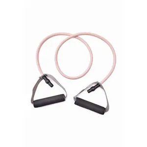 Resistance Tube (Peachy Keen/ Elderberry)