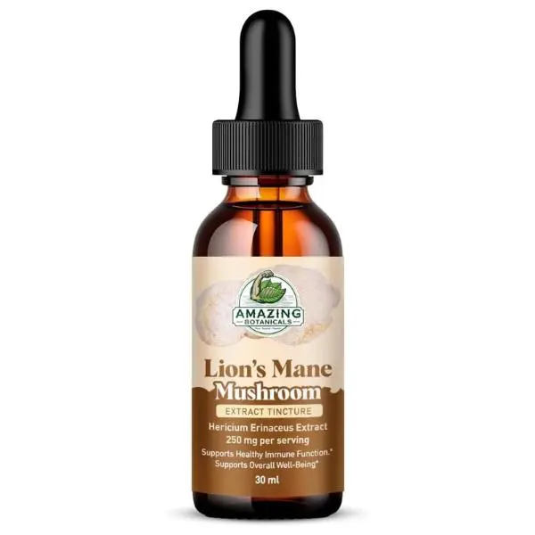 Lion’s Mane Mushroom Extract Tincture – 250mg – Dual Extracted Nootropic Supplement – Liquid Hericium Erinaceus for Focus, Memory & Brain Support, Vegan, Non-GMO, Sugar & Alcohol-Free Drops – 1oz, Natural, Brain Health