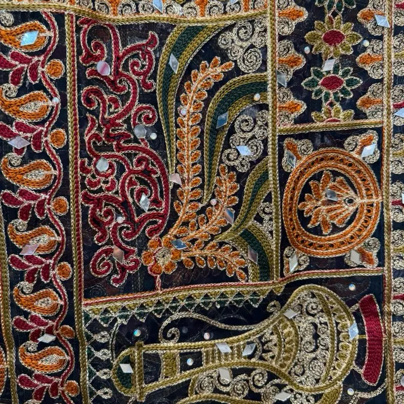 Organza Embroidered Multi Fancy Phulkari Work Dupatta for Women