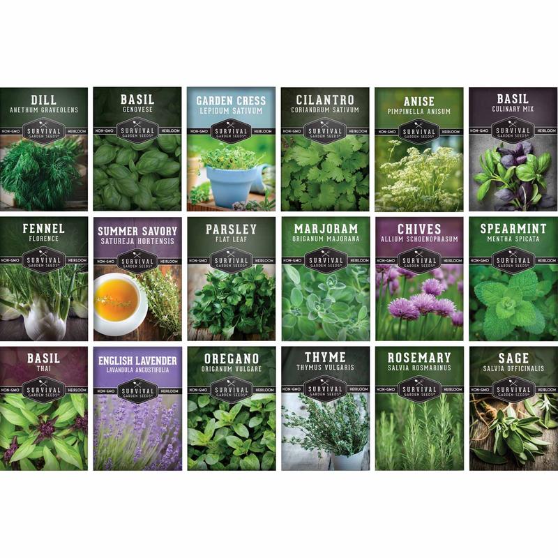 Survival Seeds 18 Culinary Herb Seed Collection - Heirloom Varieties for Cooking, Teas, and Remedies - Easy to Grow Indoors or Outdoors easy to grow seeds