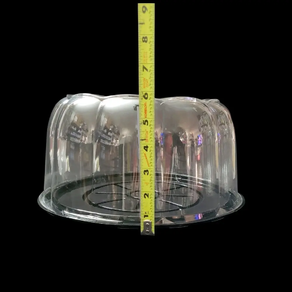 10" Cake Box Dome (SET OF 10)