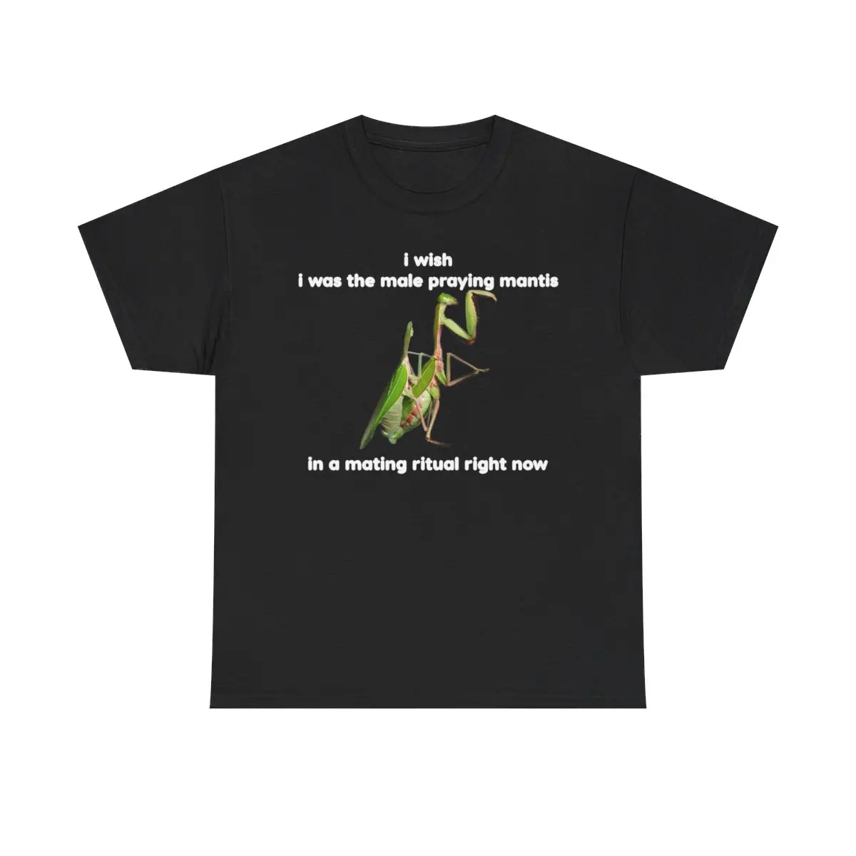 I WISH I WAS THE MALE PRAYING MANTIS IN A MATING RITUAL RIGHT NOW SHIRT Casual Shortsleeve Top Nerdy Dumb shirt