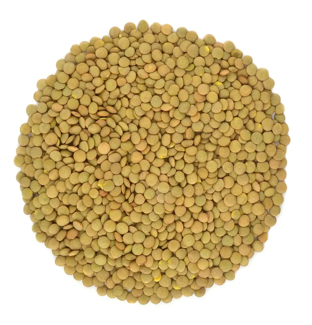 Organic Green Lentils Whole Raw, High Fiber Non-GMO-Bulk