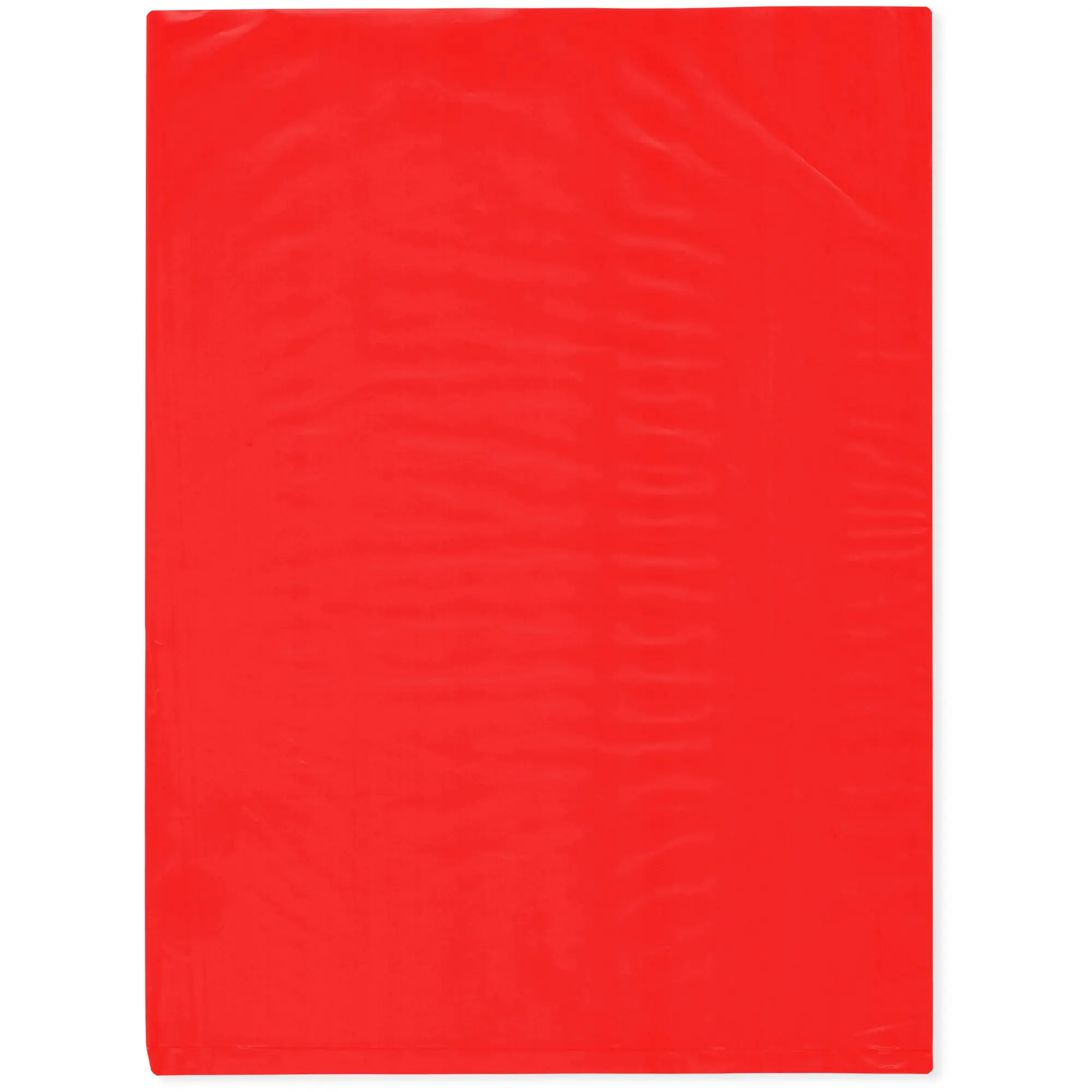 Plymor 9" x 12", Red 2 Mil Flat Open Plastic Poly Bags