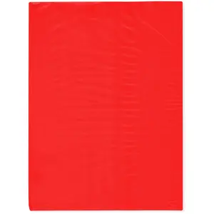 Plymor 9" x 12", Red 2 Mil Flat Open Plastic Poly Bags
