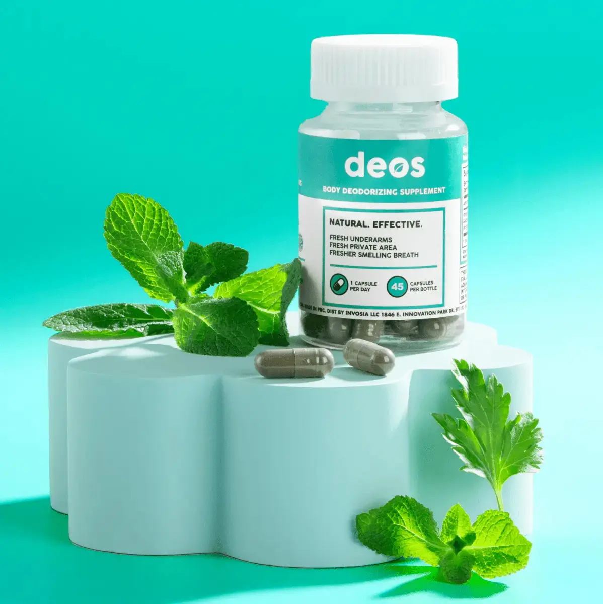 Cheers Restore | Supplement with DHM + L-Cysteine | 12 Doses | 36 ct