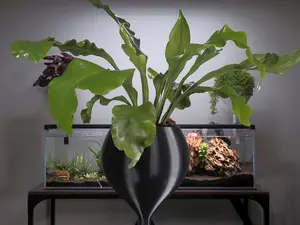 Large Aquarium‑Mounted Wicking Pot – Self‑Watering Planter