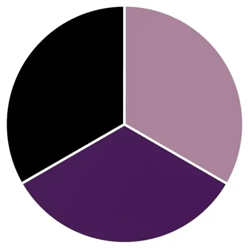 Black/Dark Purple/Purple