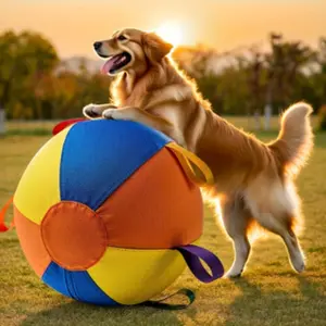Dog Training Toy Ball with Handle, Border Collie Pet Toys, Interactive Fetching Game for Dogs, Durable Rubber Material