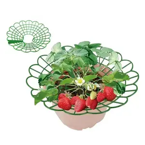 15/10/5pcs Round Plant Support Stand, Splicable Anti-Fall Plant Tray Holder, Durable Garden Support Frame for Potted Plants, Vegetables, Strawberries
