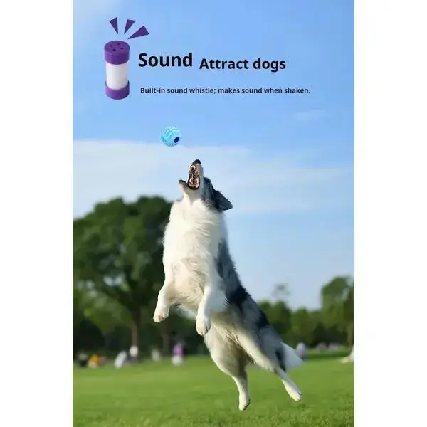 PetInteractive Sound Ball with Built-in Whistle for Dogs and Cats Squeaky Toys for Engaging Play Chew-resistant Durable Construction